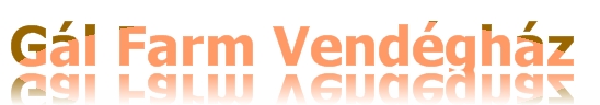Gál Farm Vendégház Jánd vendégház szállás családias hangulatú lovaglás Gál Farm Vendégház Jánd vendégház szállás családias hangulatú lovaglás