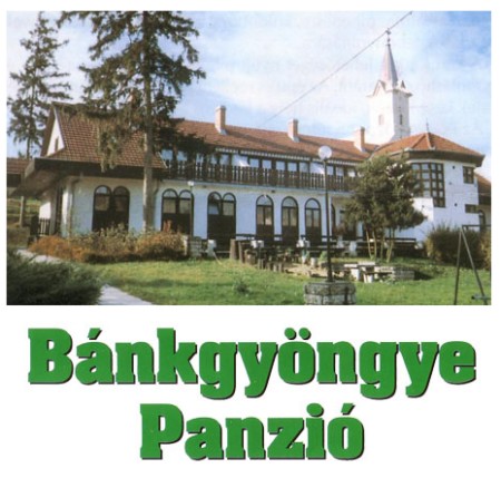 http://www.neet.hu/images/bankgyongye_kep.jpg