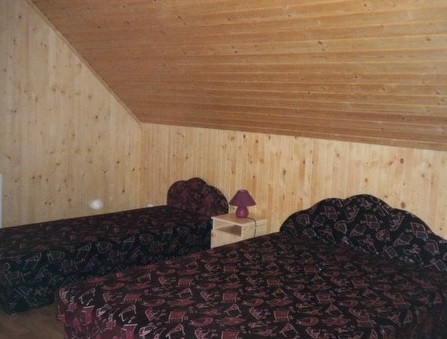 http://www.neet.hu/images/bognar2.jpg