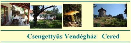 Vendégház Cereden Üdülés Üdülési csekket elfogadunk Medves hegység Medvesalja Vendégház Cereden Üdülés Üdülési csekket elfogadunk Medves hegység Medvesalja