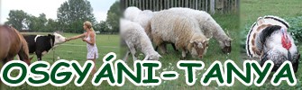 Adminisztrációs terület Adminisztrációs terület