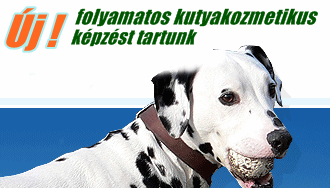 Buksi kutya- és cicakozmetika XXI.kerület kutyaápolás cicaápolás </div> </div> <div><img mce_tsrc=
