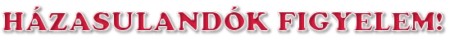http://www.neet.hu/images/tothrita2.jpg